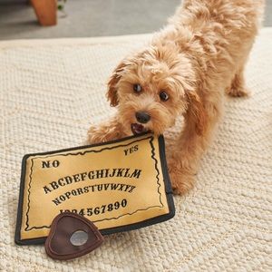 LAST ONE Ouija Board Dog Toy SOLD OUT